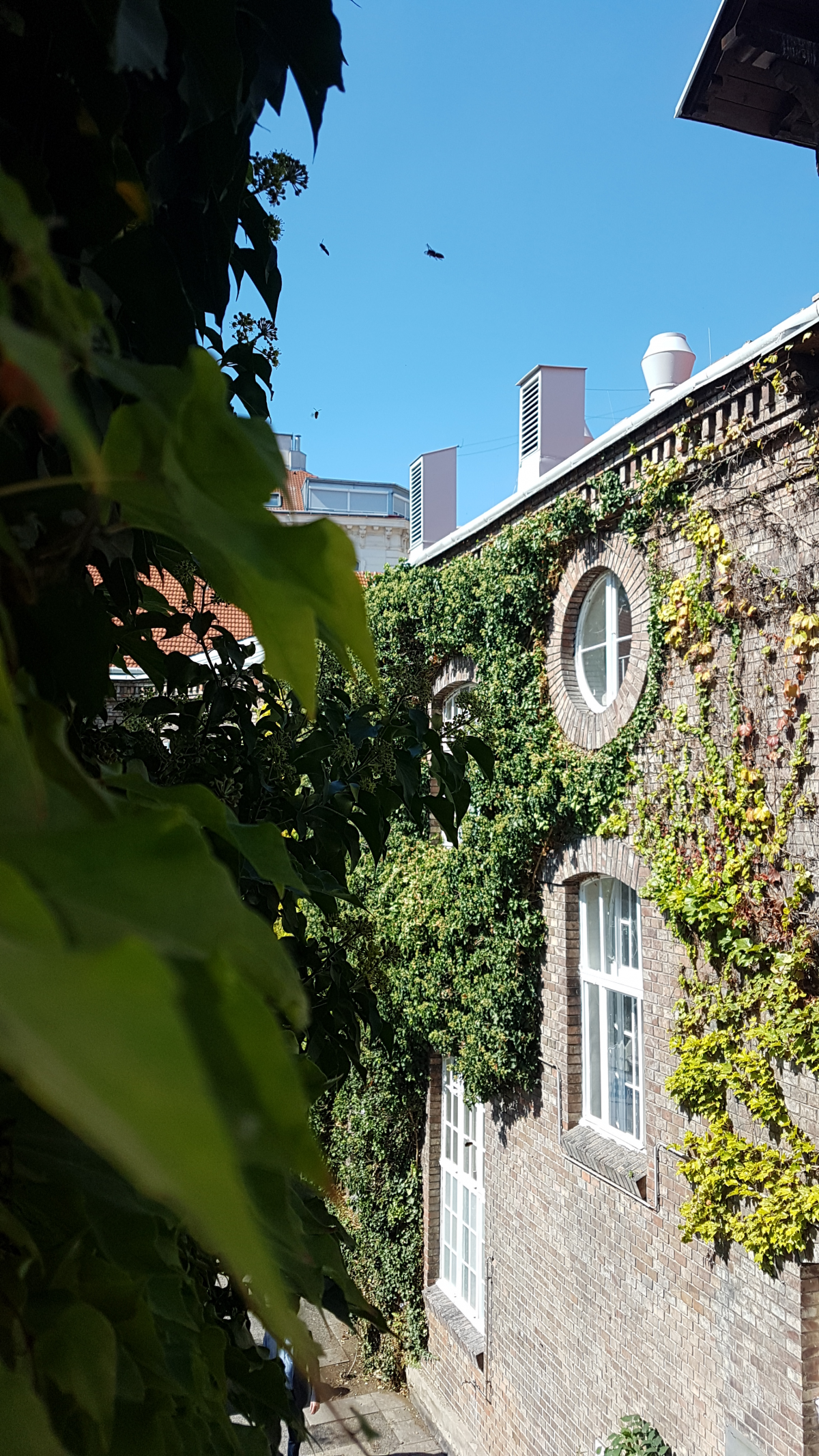 Impression - Schulhof