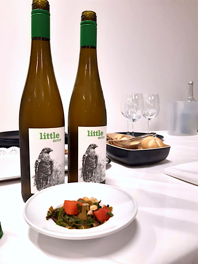 Gindl Little Buteo 2020 BI0